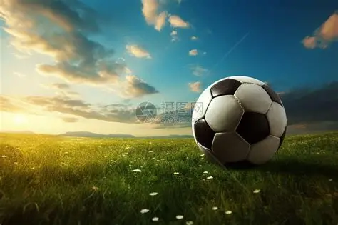 开云·体育(kaiyun)官方网站_KAIYUNSPORTS